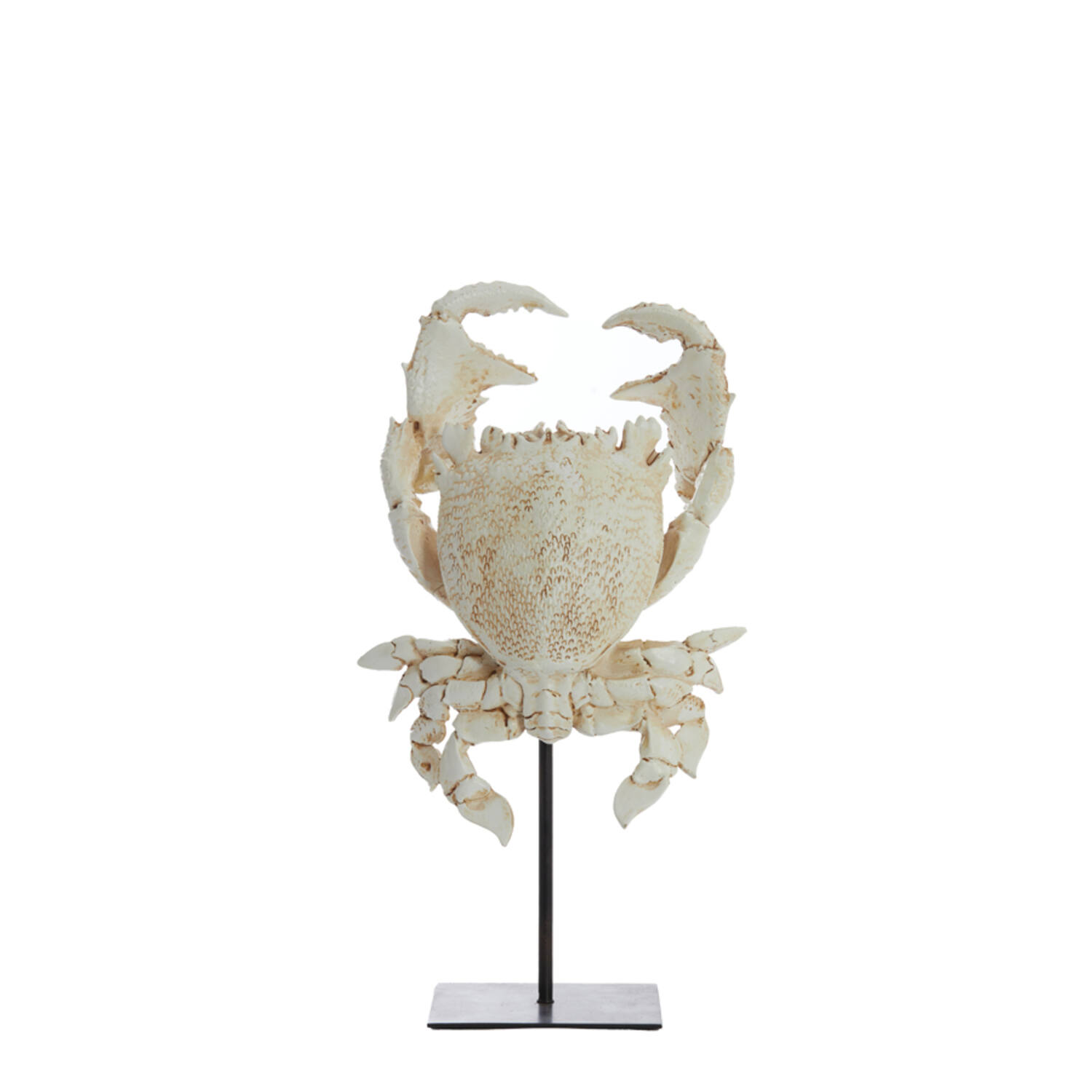 Ornament on base 23x12,5x42,5 cm CRAB off white