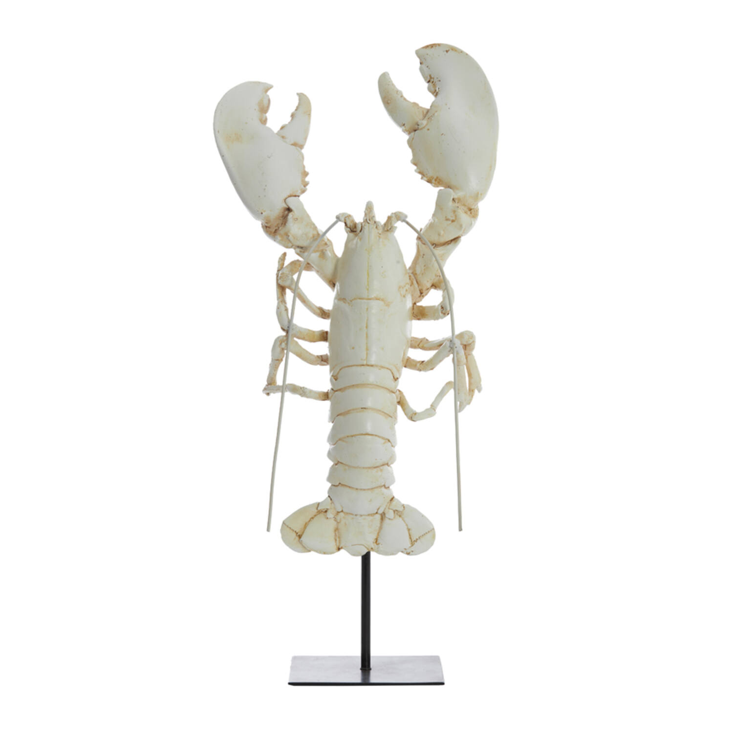 Ornament on base 25x14x56,5 cm LOBSTER off white