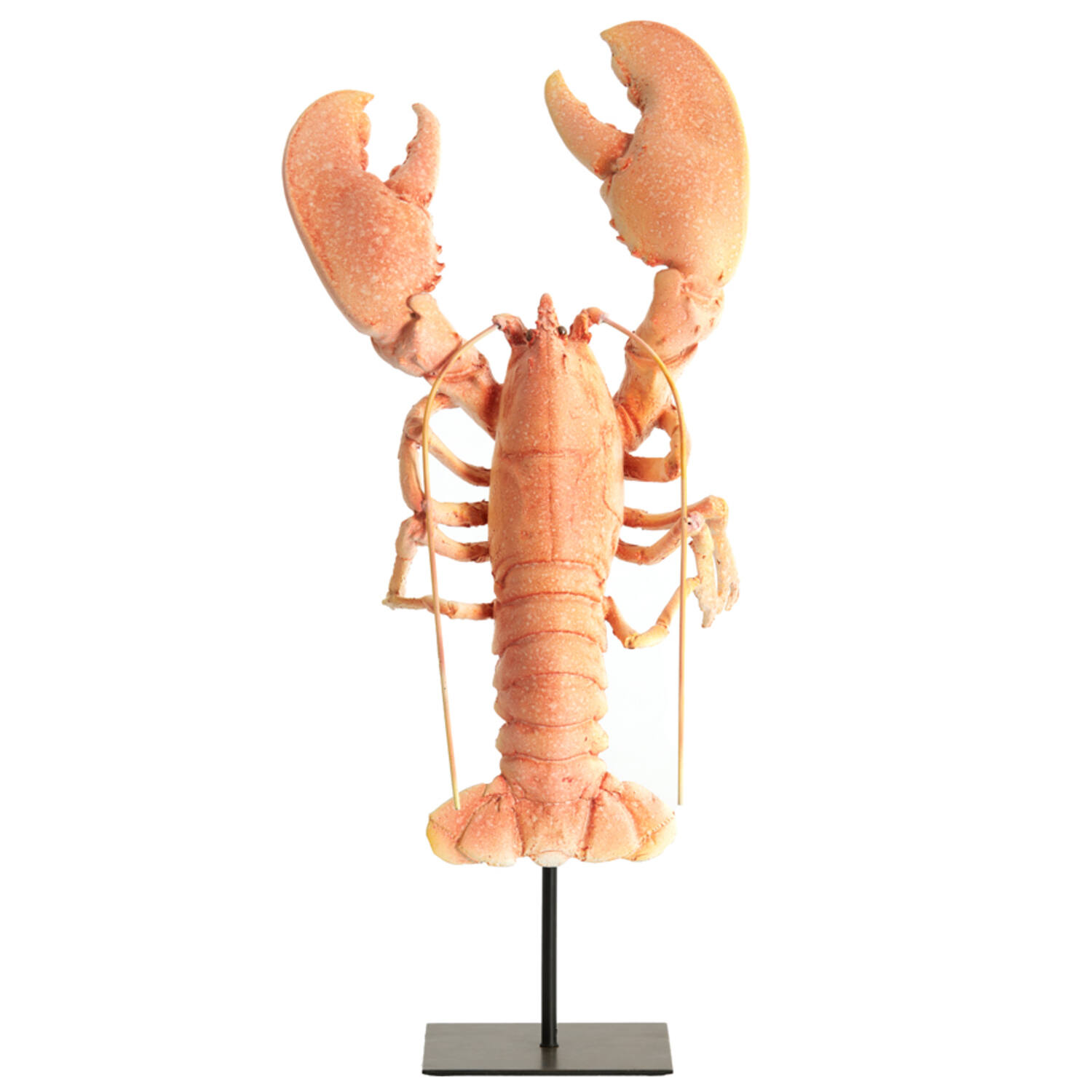 Ornament on base 25x14x56,5 cm LOBSTER light coral