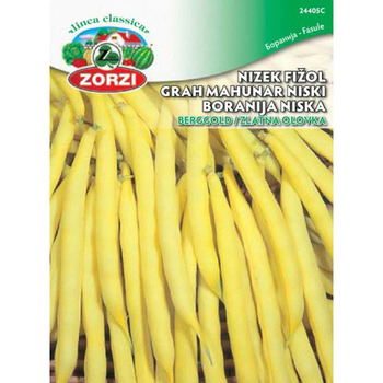 Boranija niska Berggold 250gr