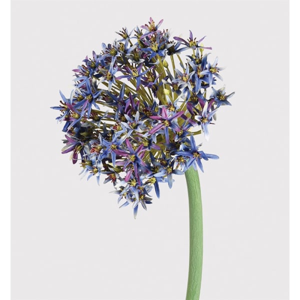 HEREFORD vjestacki cvijet, allium