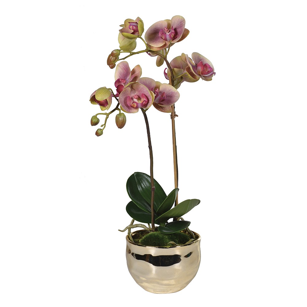 KEMP 47cm vjestacki cvijet u saksiji, zeleno-roza orhideja