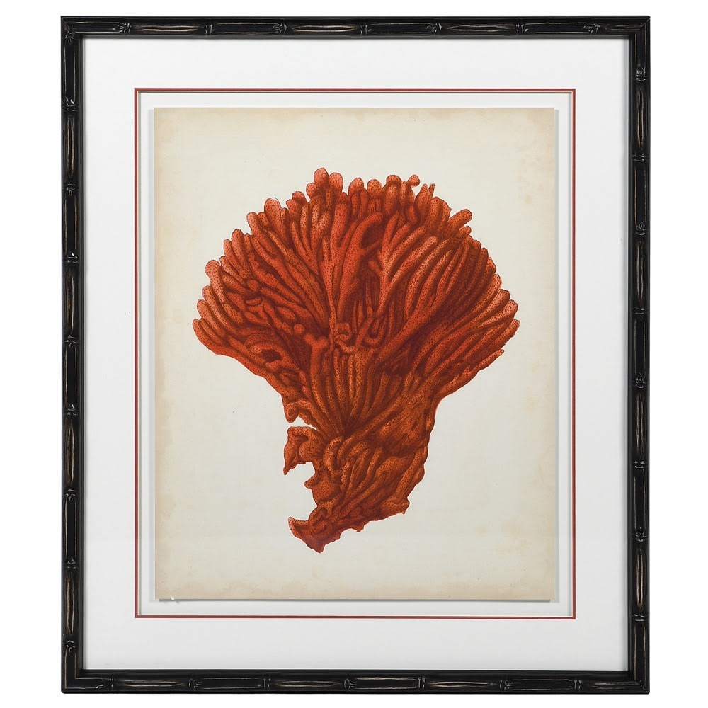 NEWPORT 71x60cm slika Narandzasti koral