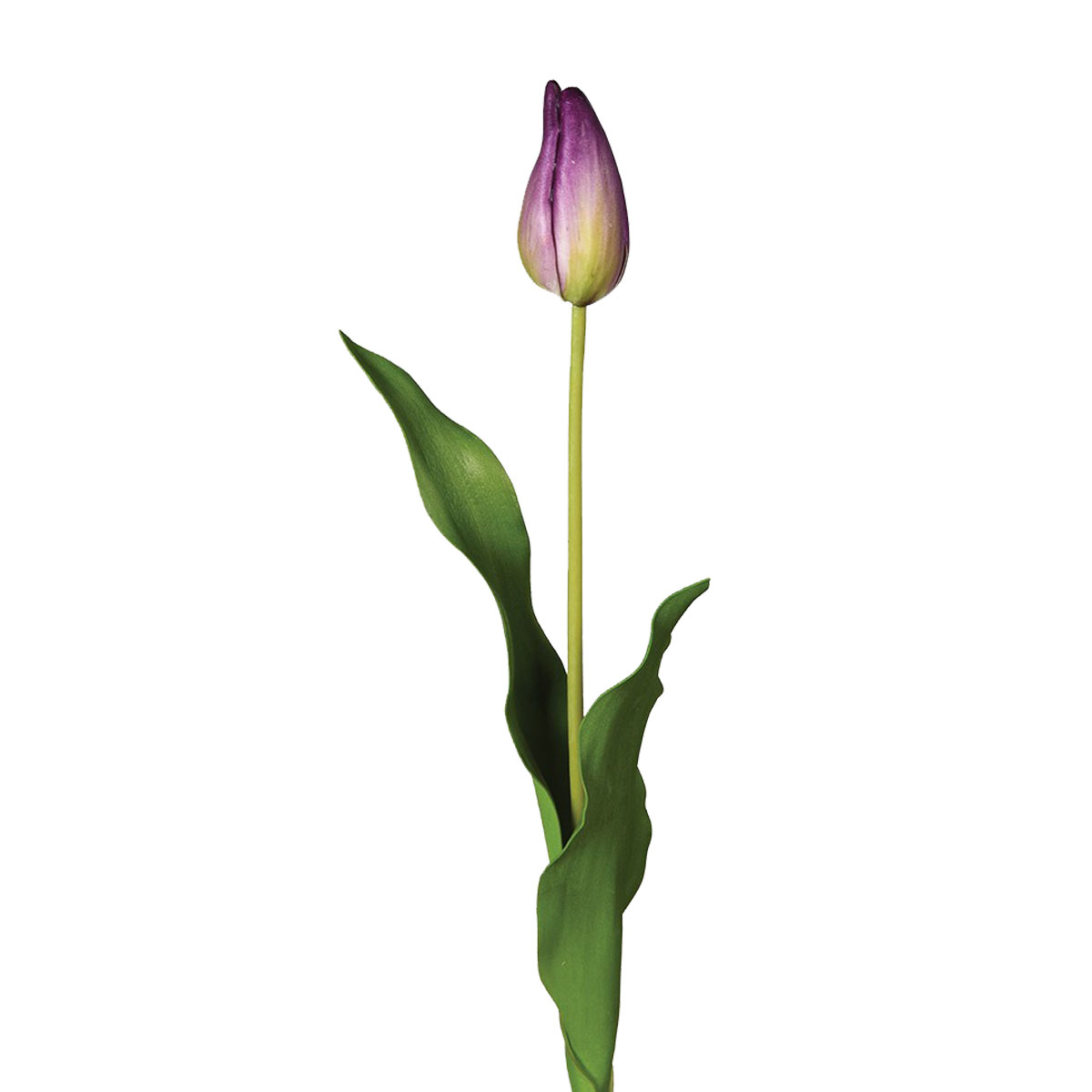 HEREFORD 60cm vjestacki cvijet, ljubicasta lala