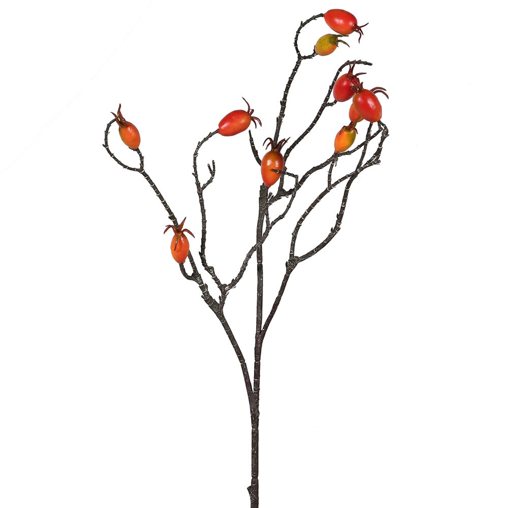KEMP dekoracija, bobice orange