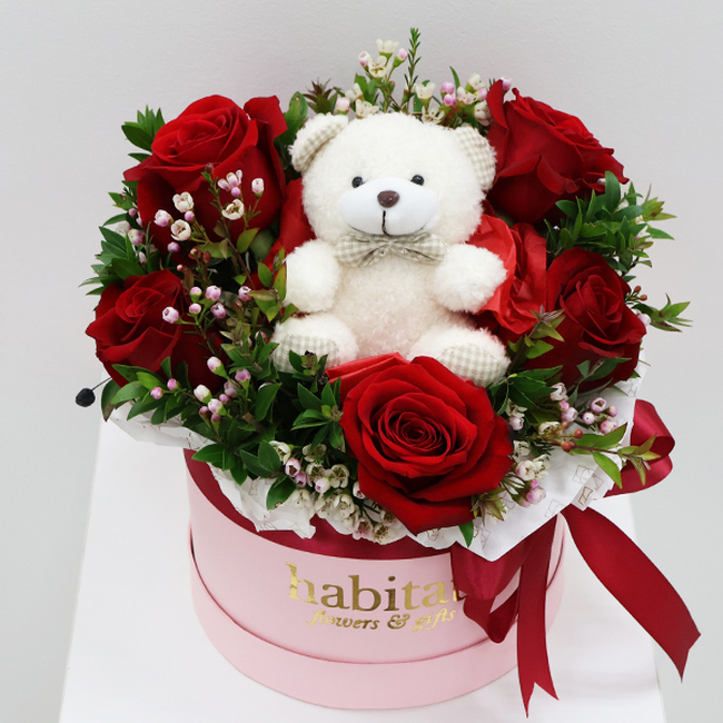 Bear & Roses L