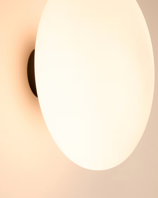 BAMILA zidna lampa od zamagljenog stakla i crnog metala Ø25cm