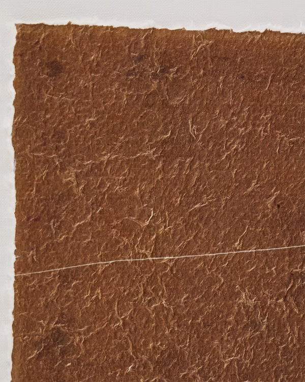 D00255WM10-5