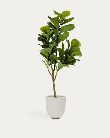 FICUS vještačka biljka, 150cm