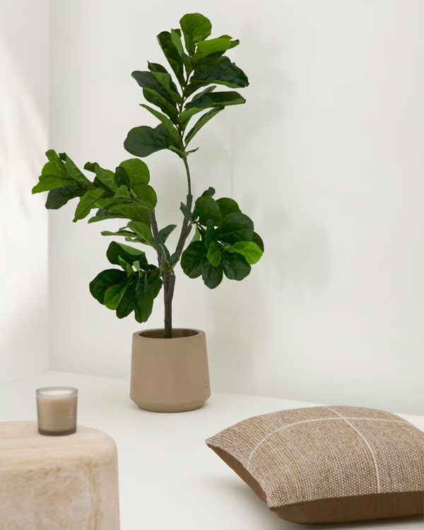 FICUS vještačka biljka, 150cm