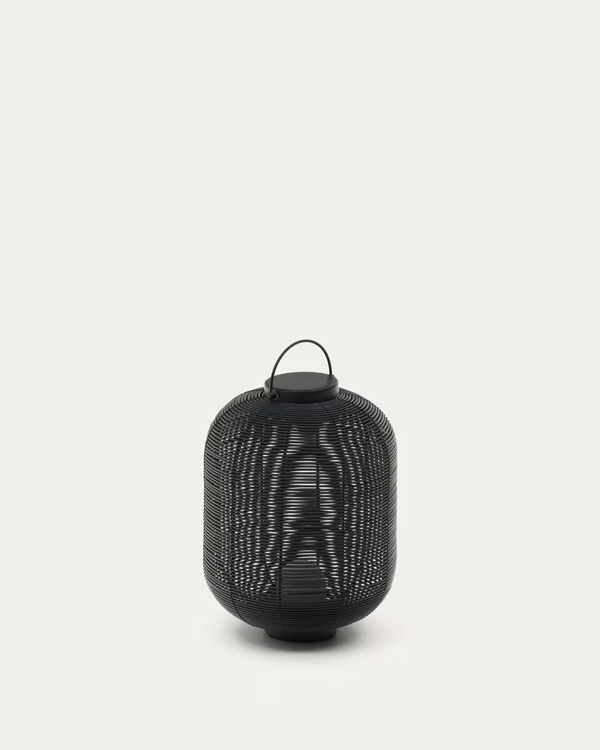 L1100009FN01-1