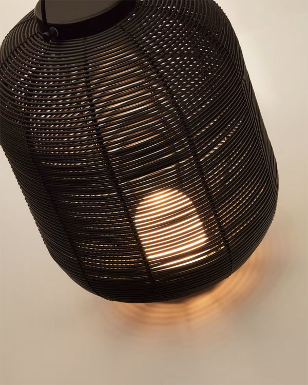 L1100009FN01-5