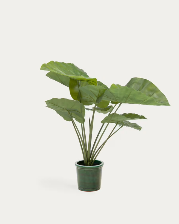 ALOCASIA odora vještačka biljka, crna saksija 57 cm