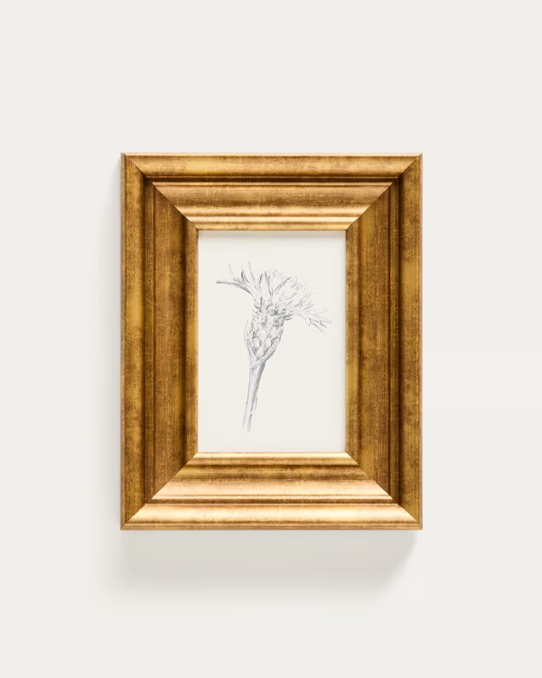 YALIRA slika s botaničkom ilustracijom 33 x 41 cm