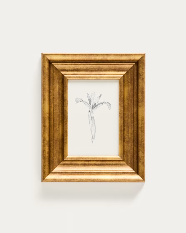 YALIRA slika s botaničkom ilustracijom 33 x 41 cm