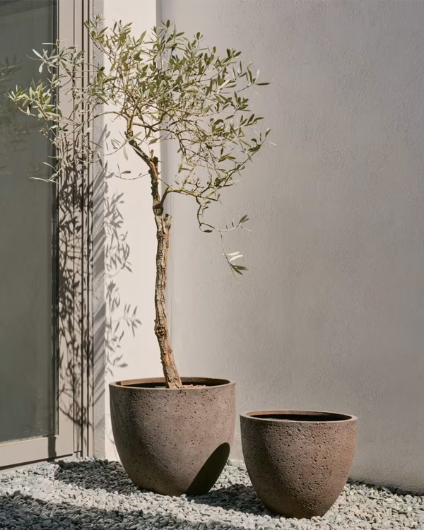 SERILI Set od 2 saksije od cementa i staklenih vlakana, tamnosiva, Ø42 cm / Ø50 cm