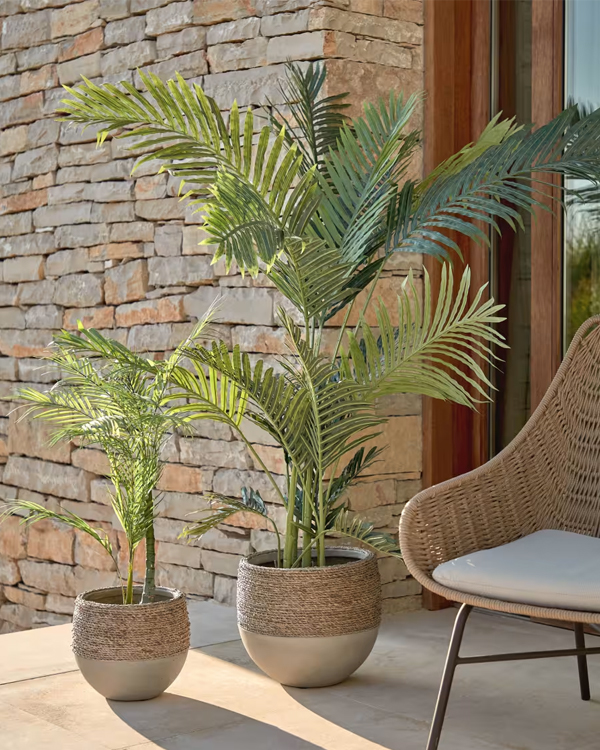 PALMERA Vještačka biljka, 70 cm