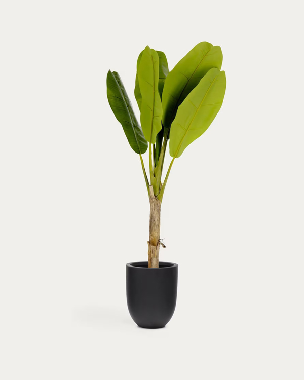 BANANO Vještačka biljka sa crnom saksijom, 160 cm