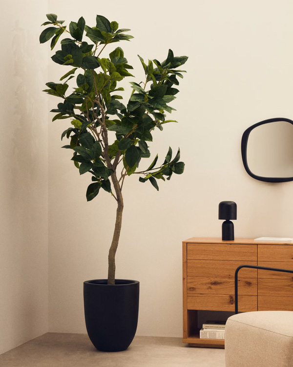 FICUS Vještačko drvo sa crnom saksijom, 210 cm