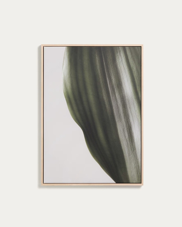 FOLIAE Slika, fotografija lista, 52 x 72 cm