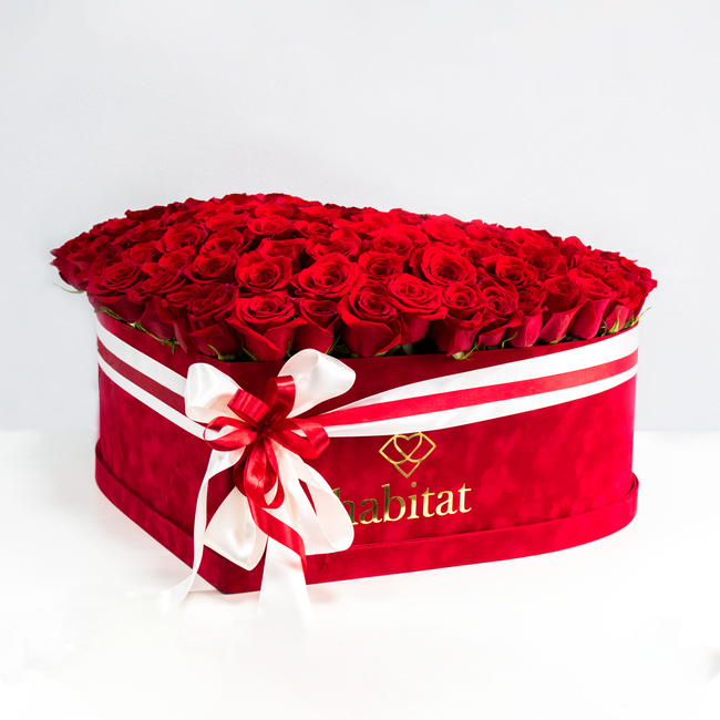 101 Roses Plush Box