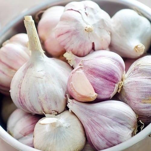 CESNJAK OZIMI,GERMIDOUR,400G