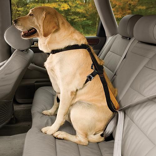 Sigurnosni pojas za auto za psa. Veličina L