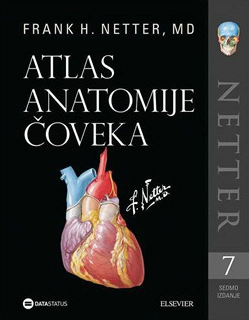 ATLAS ANATOMIJE ČOVEKA - Netter