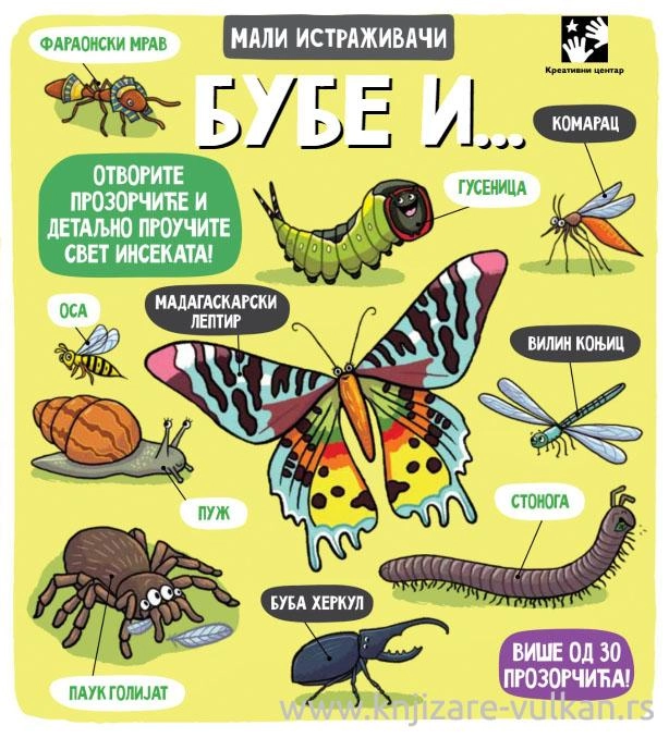 MALI ISTRAŽIVAČI BUBE I ...