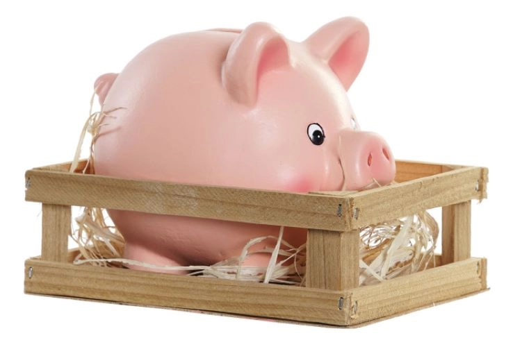 KASICA ZA NOVAC ITEME MDF 15X11,6X12 LITTLE PIG PINK HU-182927