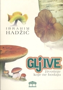 GLJIVE ŽIVOTINJE KOJE NE HODAJU