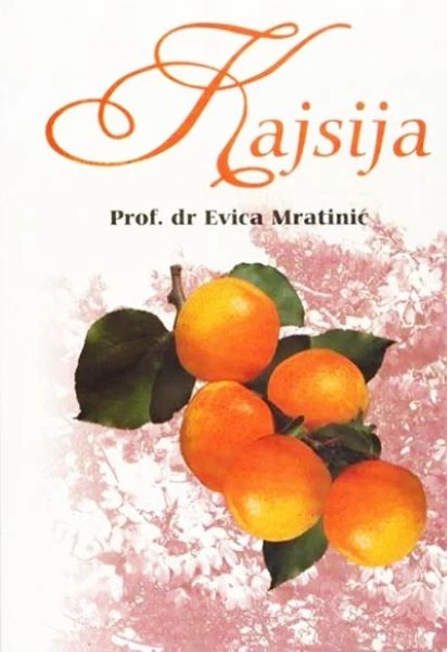 KAJSIJA partenon
