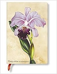 ROKOVNIK PAINTED BOTANICALS BRAZILIAN ORCHID MINI LINED