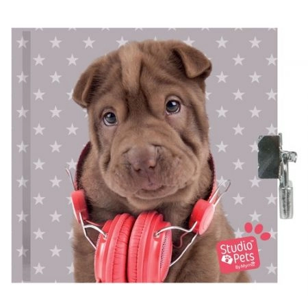 DNEVNIK SA KATANCEM PEJ-3640