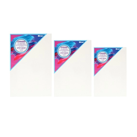 SLIKARSKO PLATNO 30X80 TTS