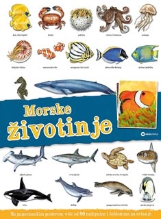 PANORAMA: MORSKE ŽIVOTINJE