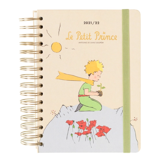 ROKOVNIK 2021/2022 ERIK THE LITTLE PRINCE AGEDPA52102