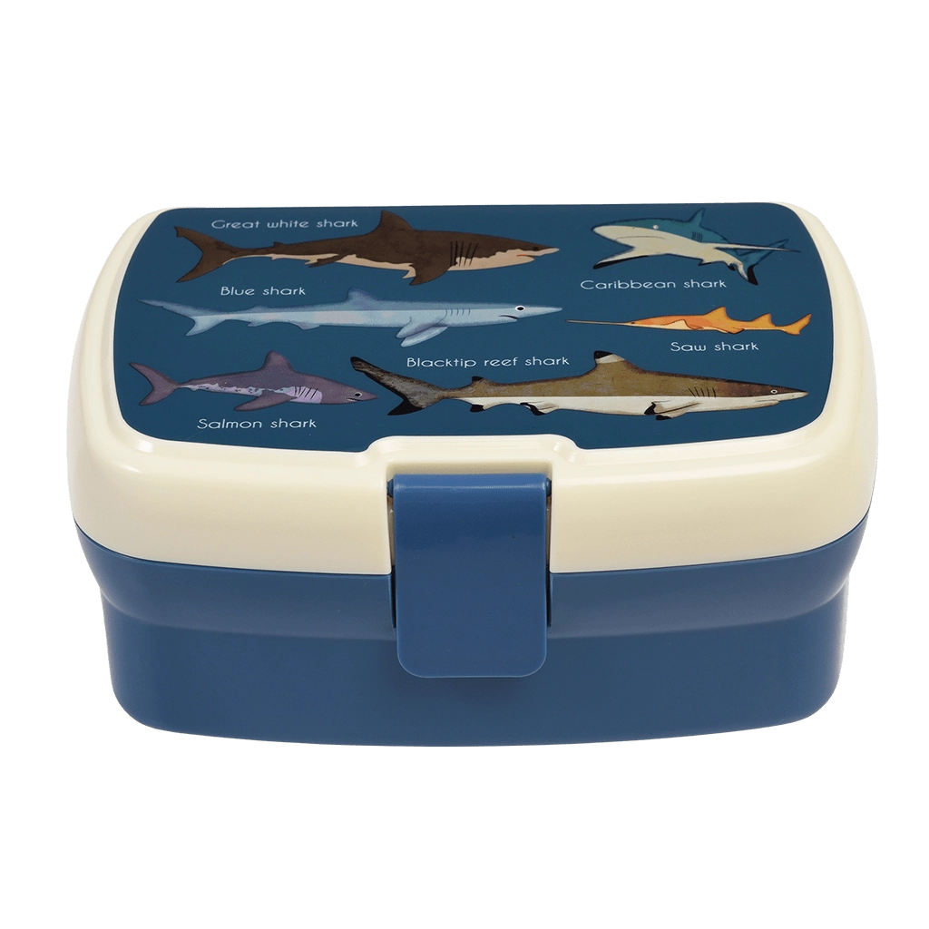 KUTIJA ZA UŽINU REX SHARKS 29500