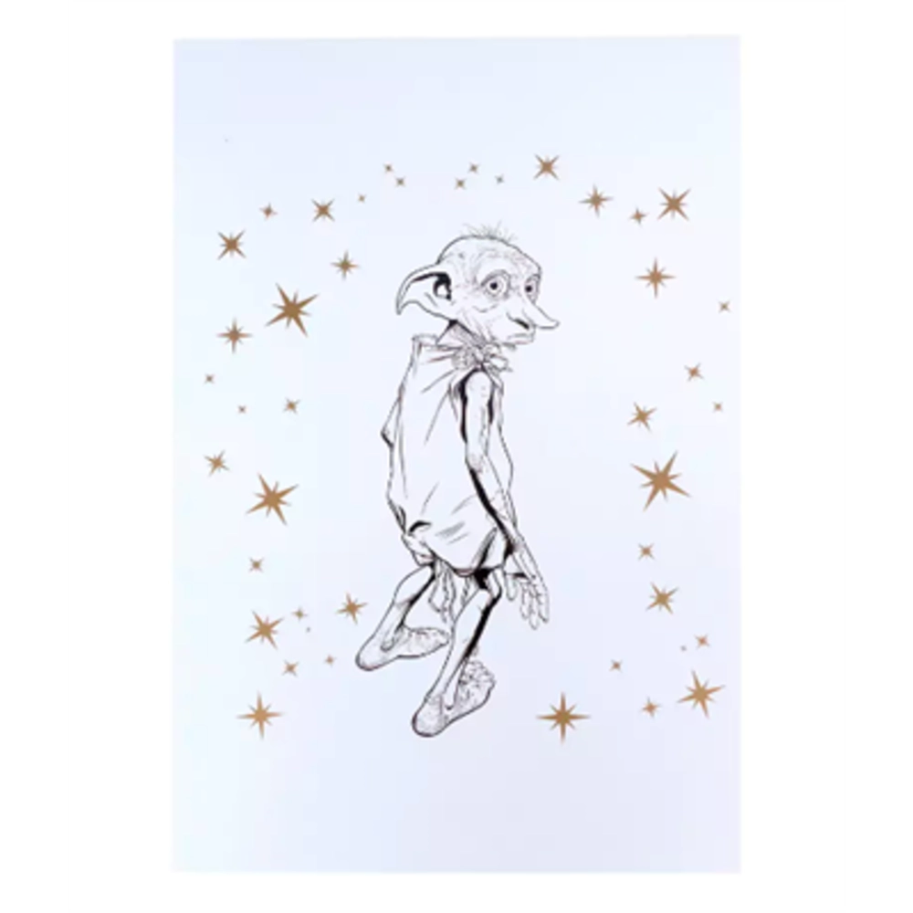 NOTES A5 DISTRINEO DOBBY HARRY POTTER MAP5162			