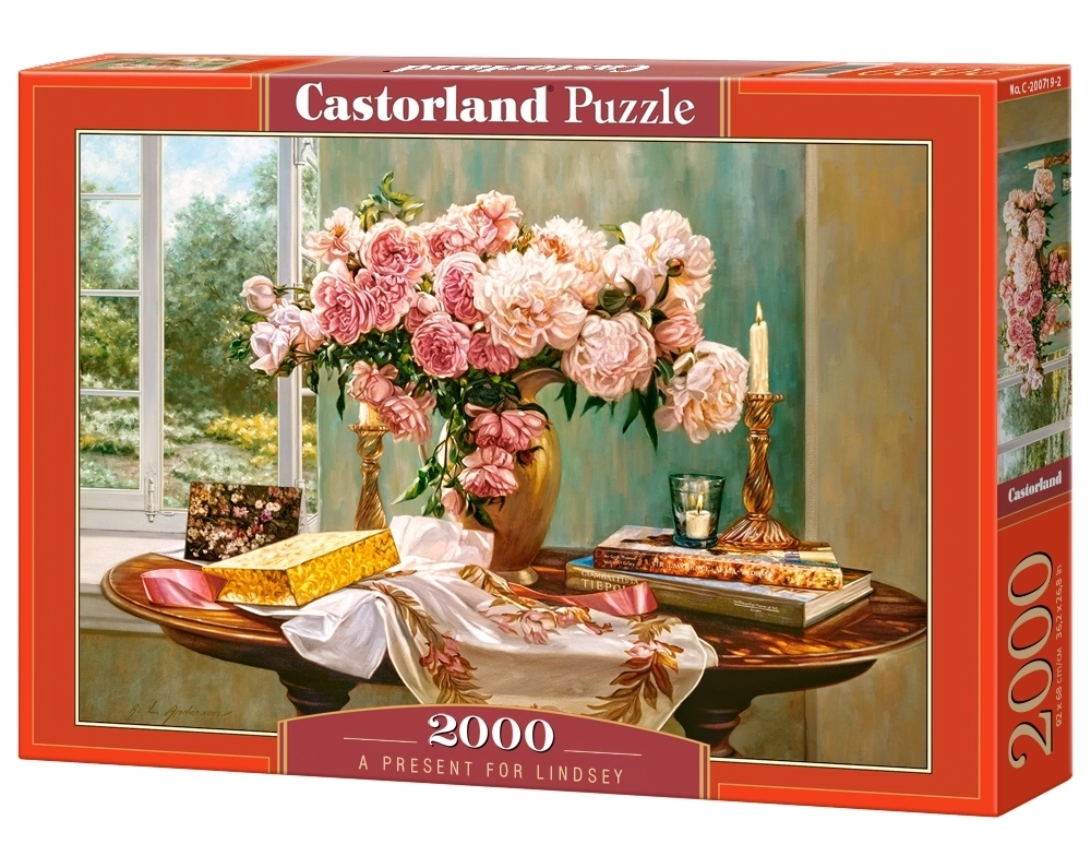 PUZZLE 2000 CASTOR A PRESENT FOR LINDSEY C-200719-2