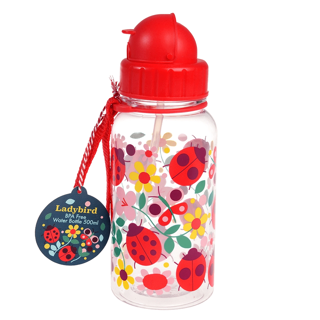 FLAŠICA ZA VODU 500ML PLASTIČNA REX LADYBIRD 30080