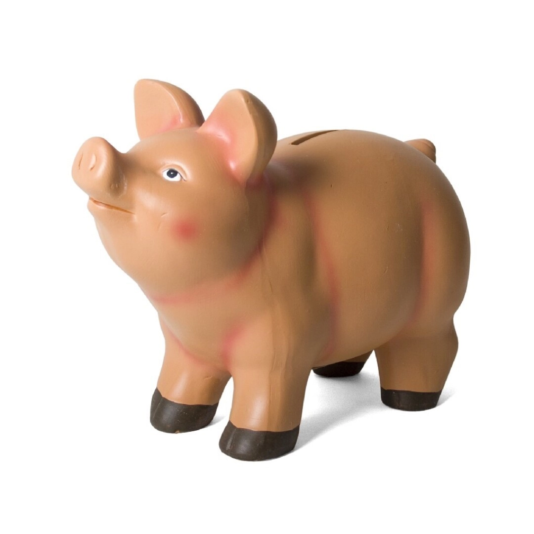 KASICA ZA NOVAC GERIMPORT PIG 11X9X8 69139093