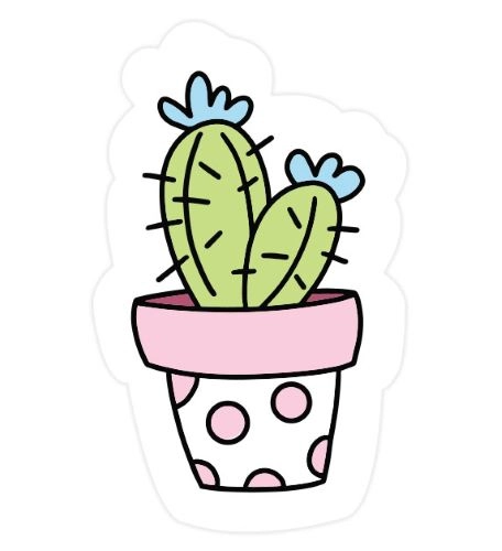 STIKERI NOMAD KAKTUS