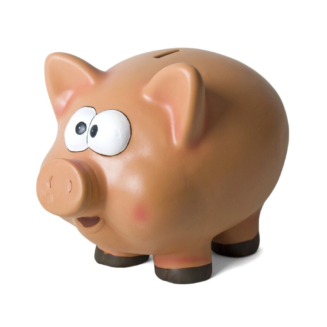 KASICA ZA NOVAC GERIMPORT 10X7 CM