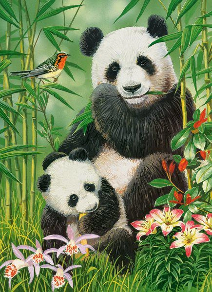 PUZZLE 300 CASTOR PANDA BRUNCH B-030507