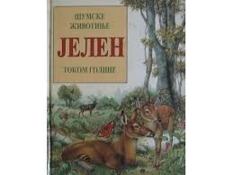 ŠUMSKE ŽIVOTINJE - JELEN TOKOM GODINE