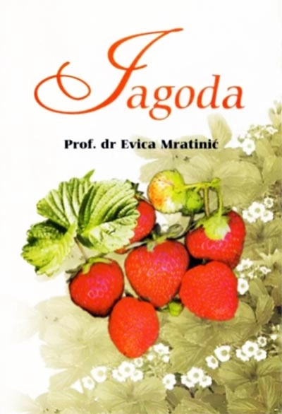 JAGODA
