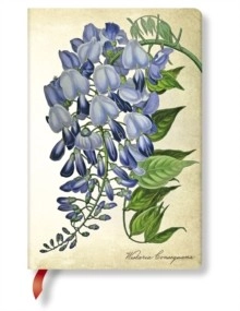 ROKOVNIK PAINTED BOTANICALS BLOOMING WISTERIA MINI LINED