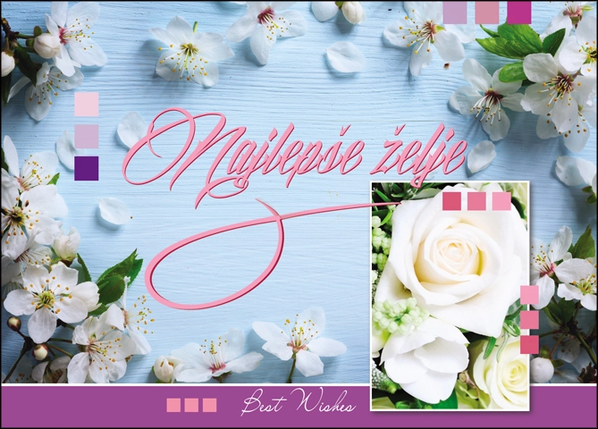 ČESTITKA SHOCK 3-BW 314 B