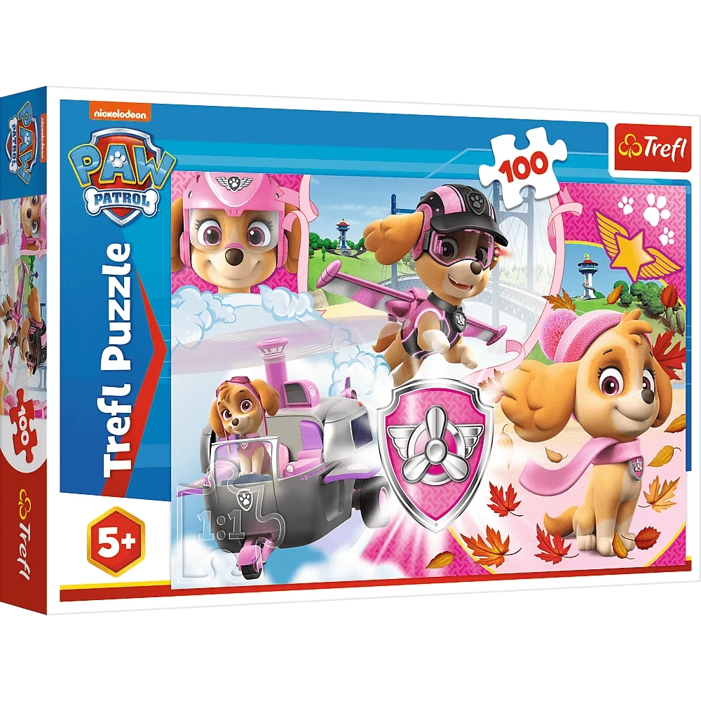 PUZZLE 100 TREFL SKAY IN ACTION 16368
